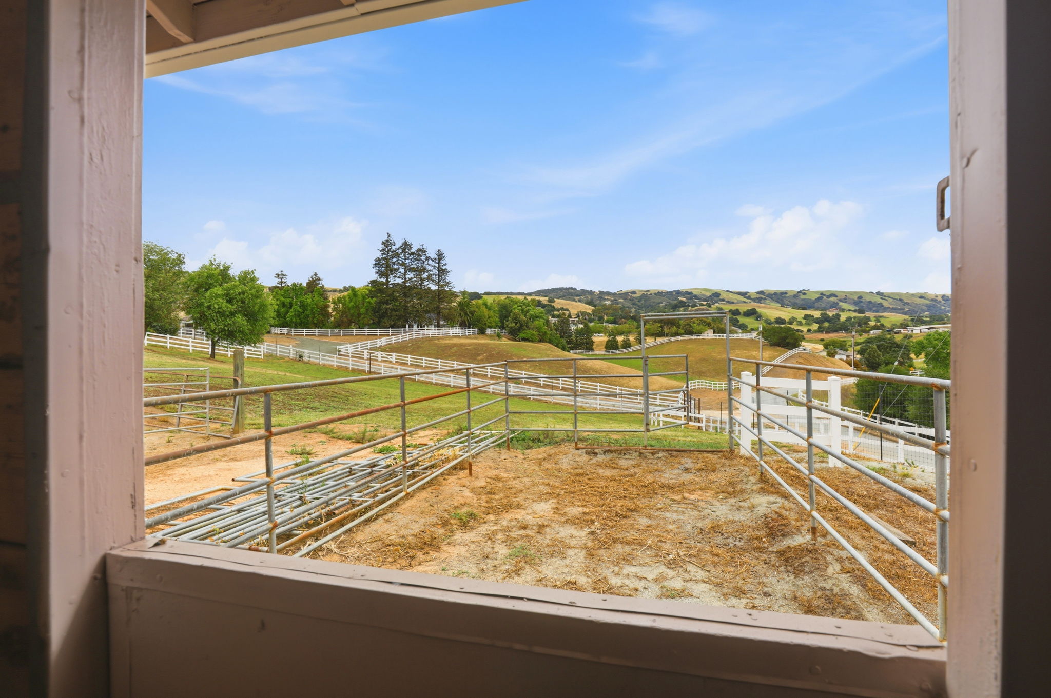 039_F8_9508 Sugar Babe