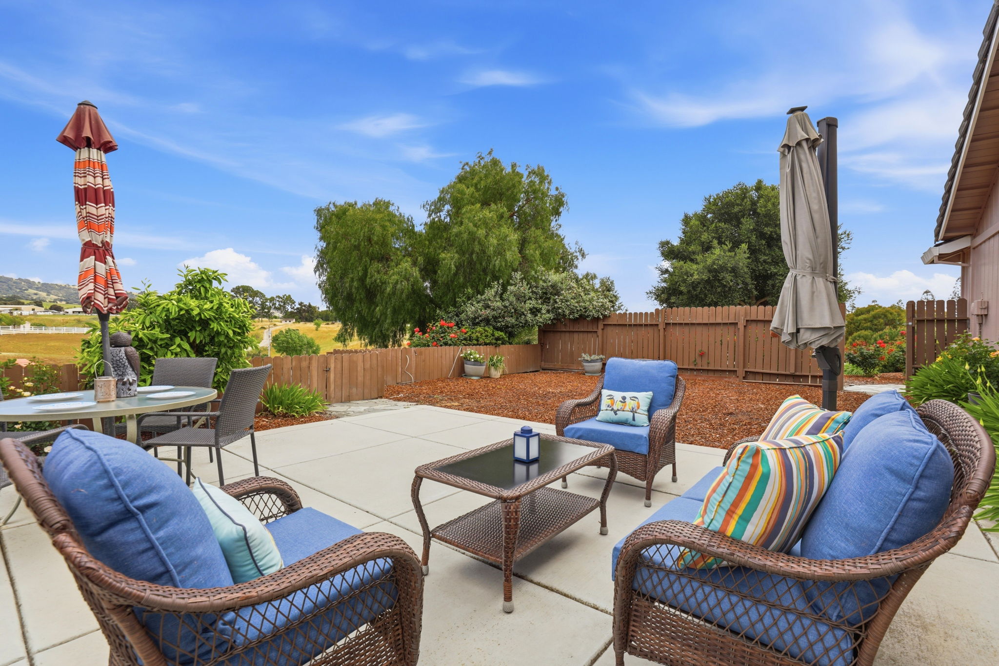 043_F8_9508 Sugar Babe