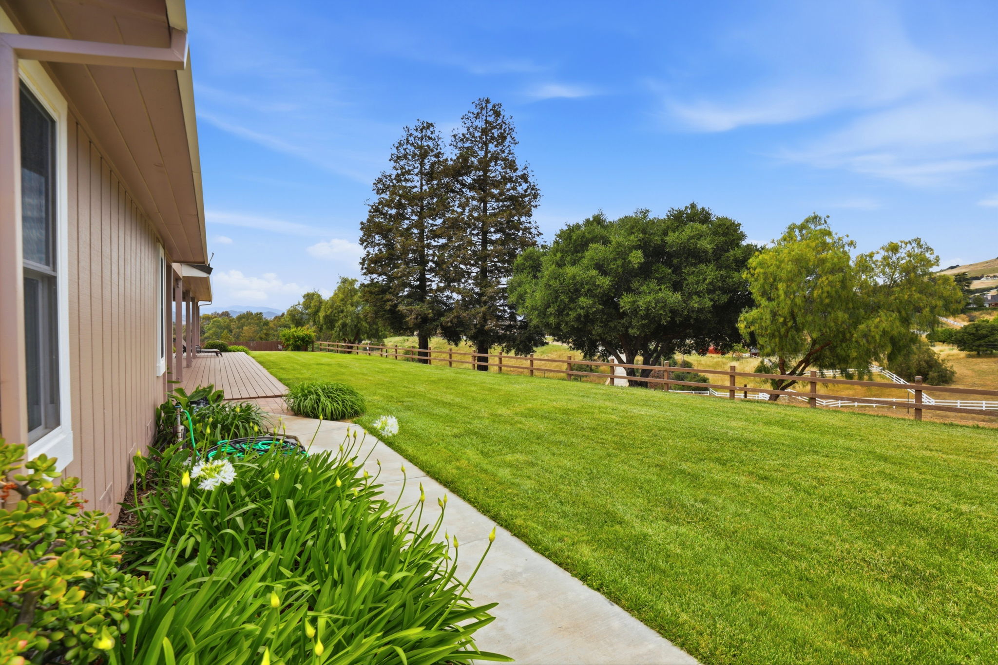 048_F8_9508 Sugar Babe