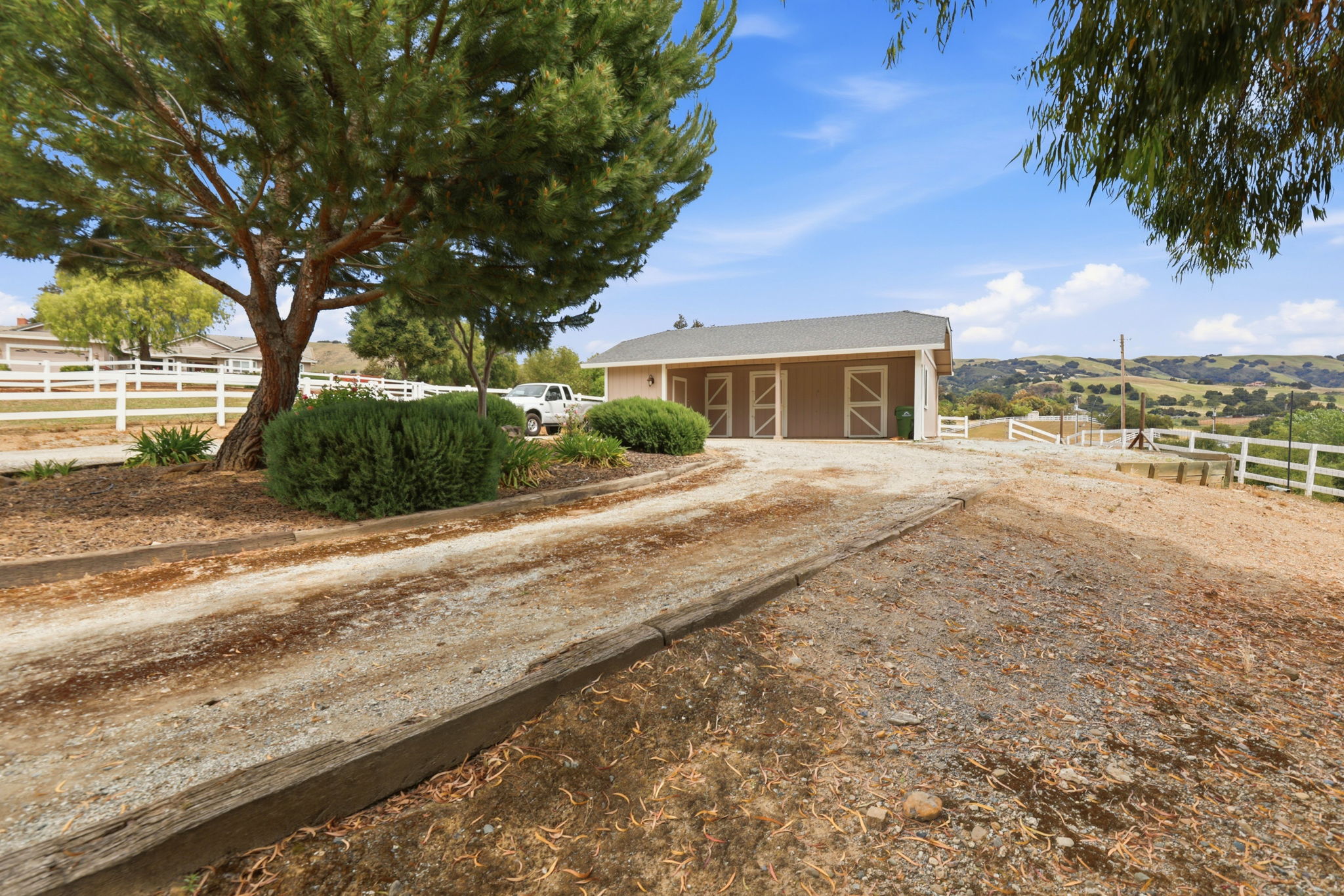 050_F8_9508 Sugar Babe