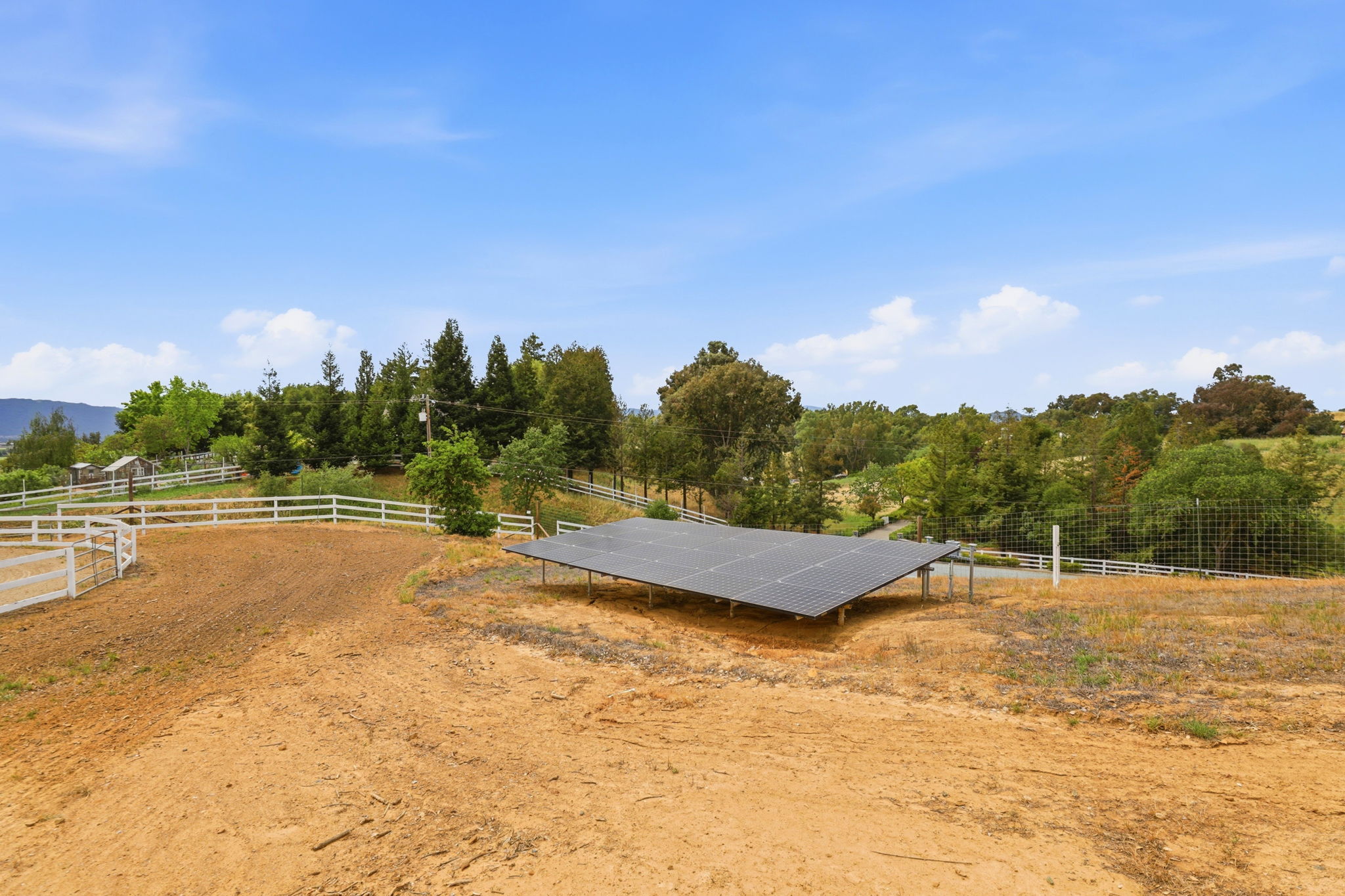 051_F8_9508 Sugar Babe