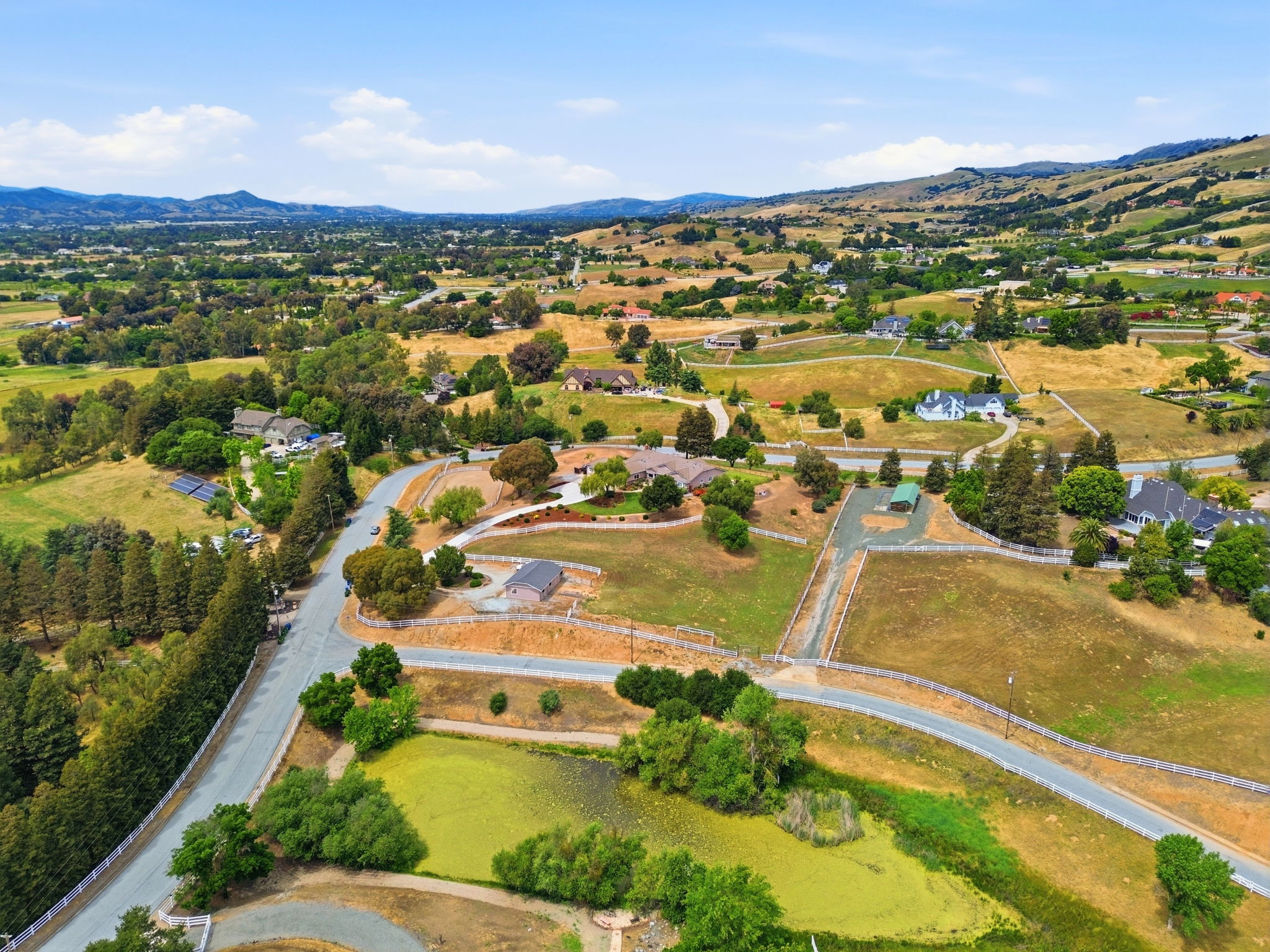 007_F8_AERIAL_9508 Sugar Babe