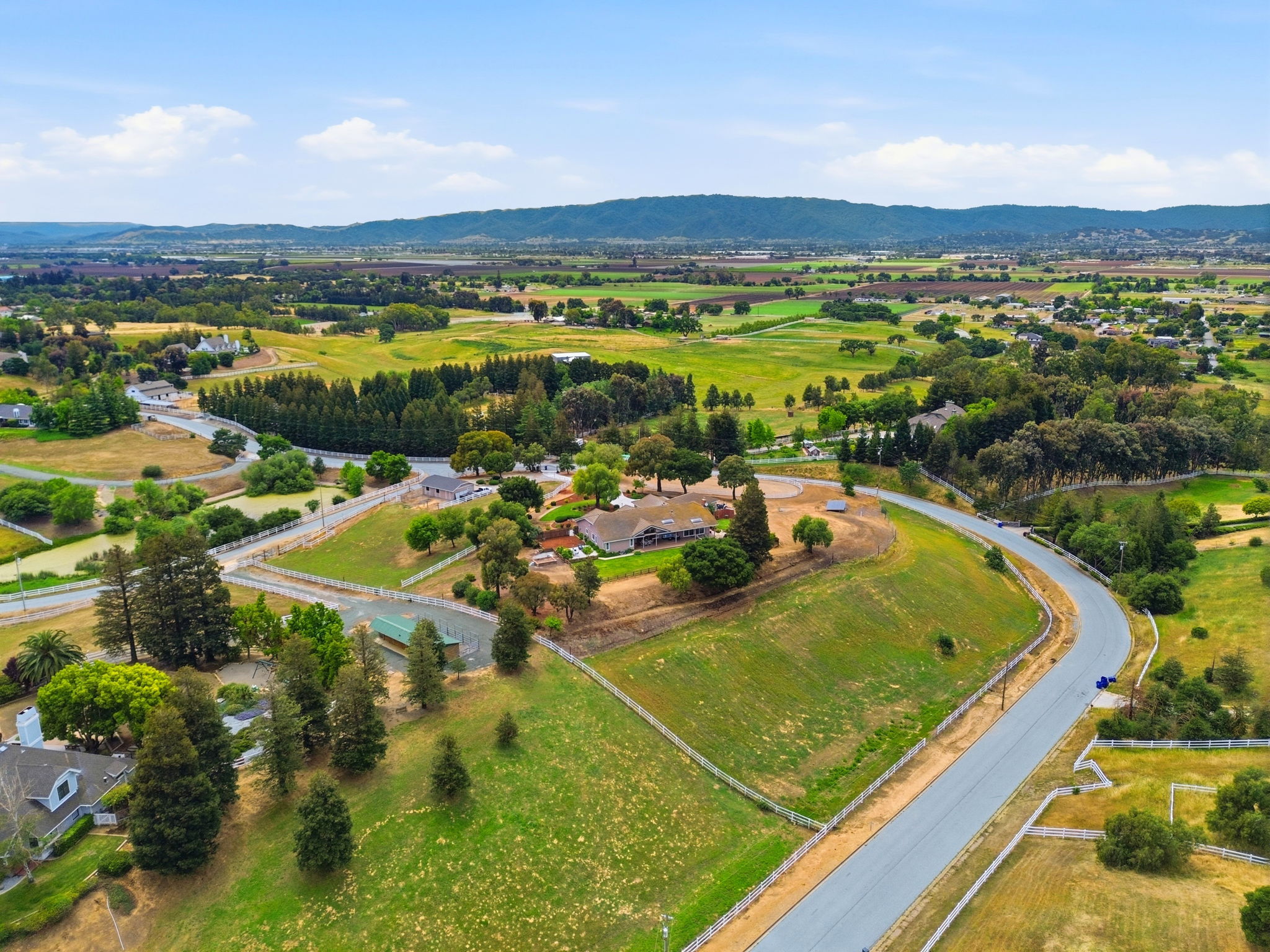 016_F8_AERIAL_9508 Sugar Babe