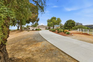 002_F8_9508 Sugar Babe