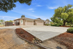 005_F8_9508 Sugar Babe