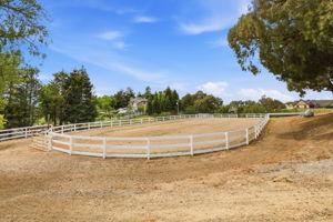 049_F8_9508 Sugar Babe