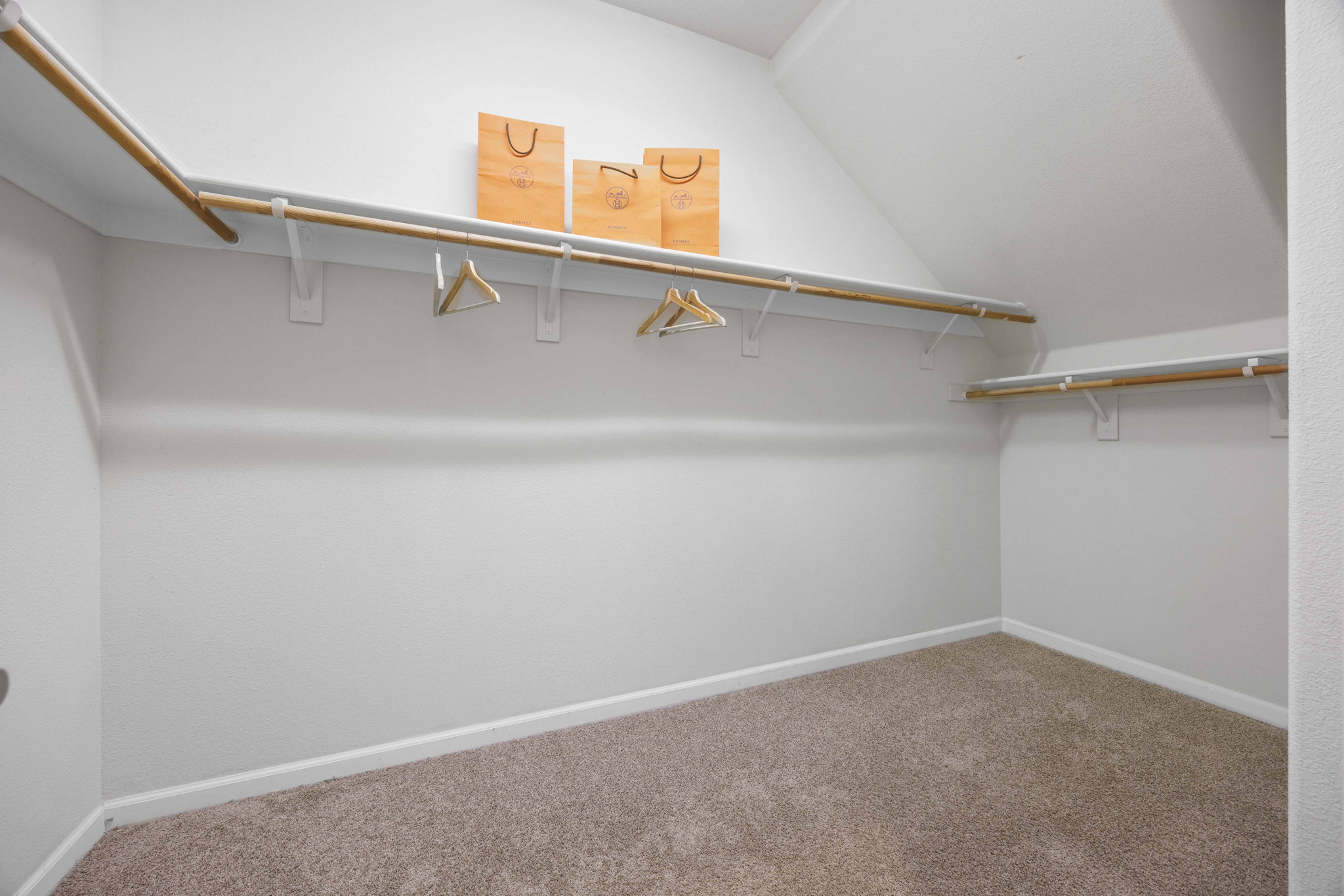 Primary Walk-in Closet 1