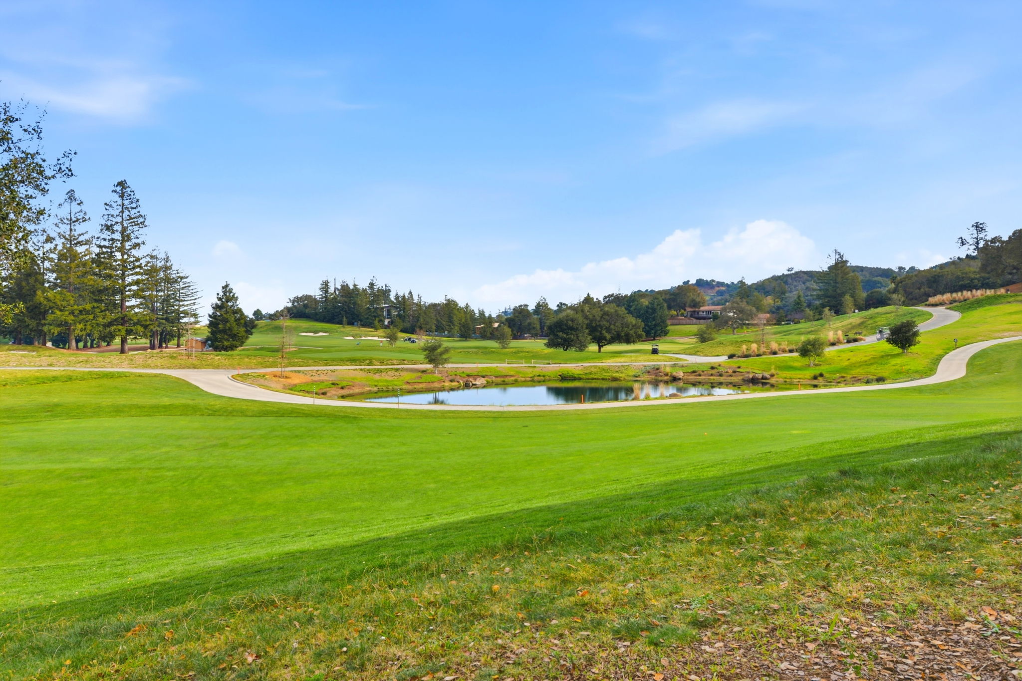 055_F8_951 Laurel Glen Dr