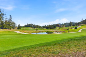 055_F8_951 Laurel Glen Dr