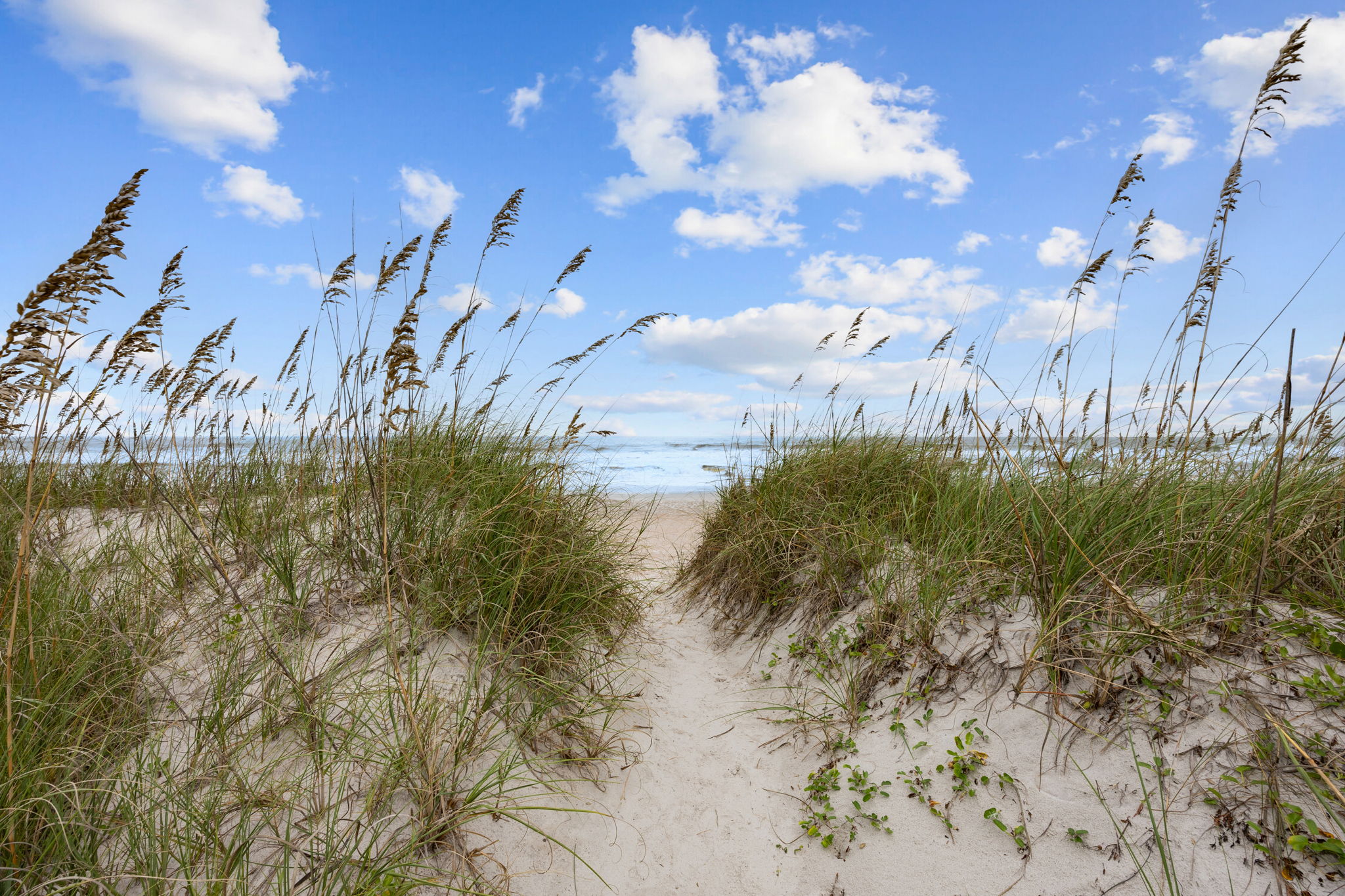 Beach Access 106