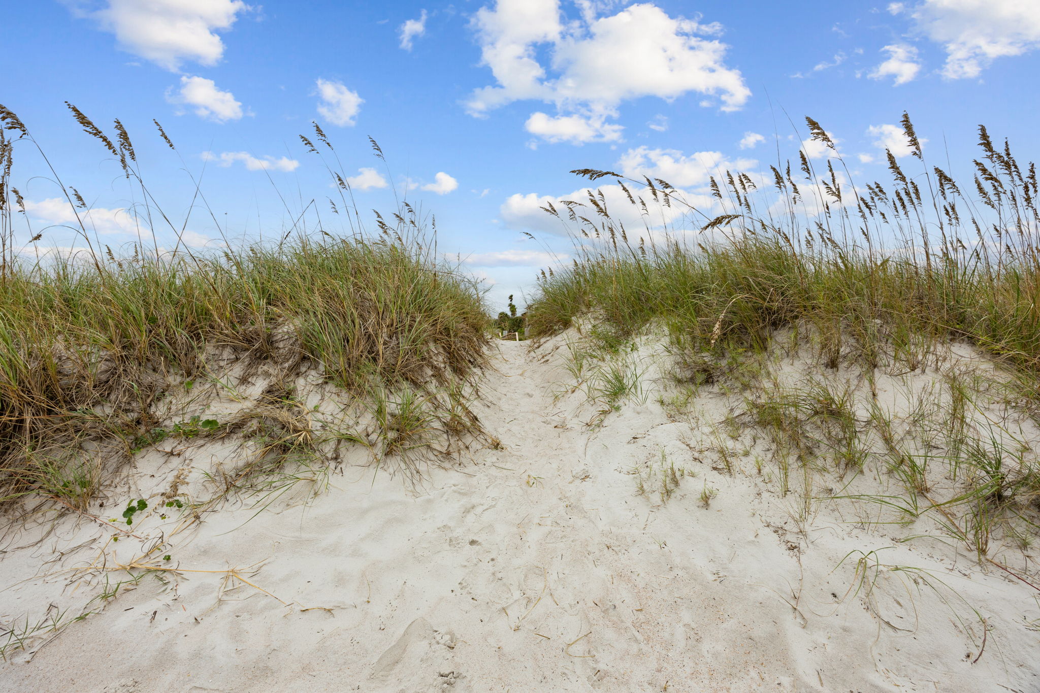 Beach Access 106