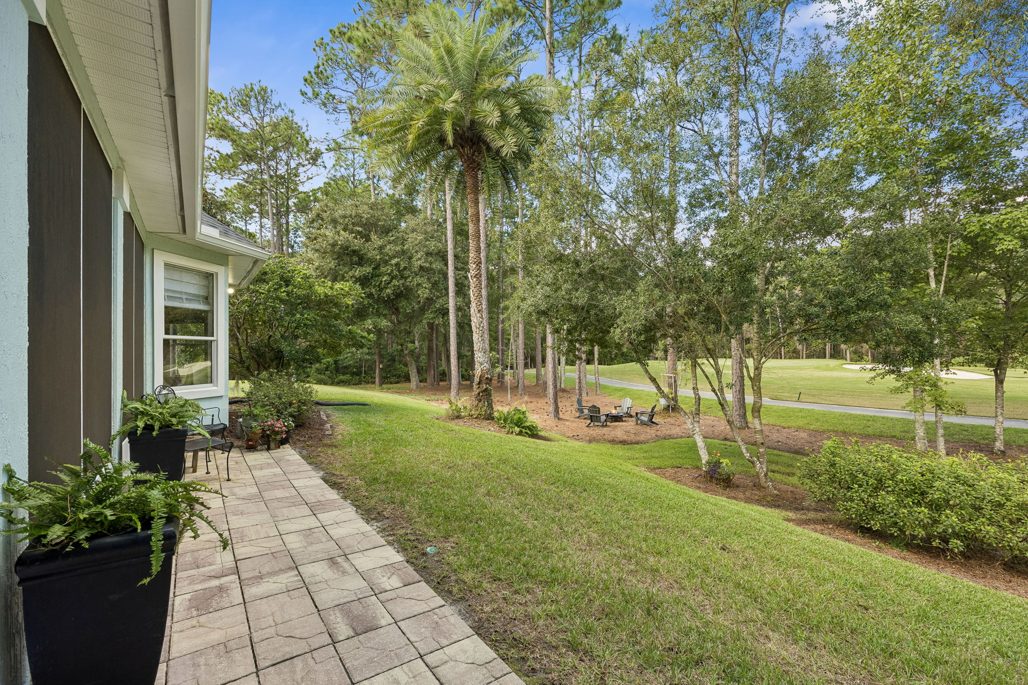 Backyard