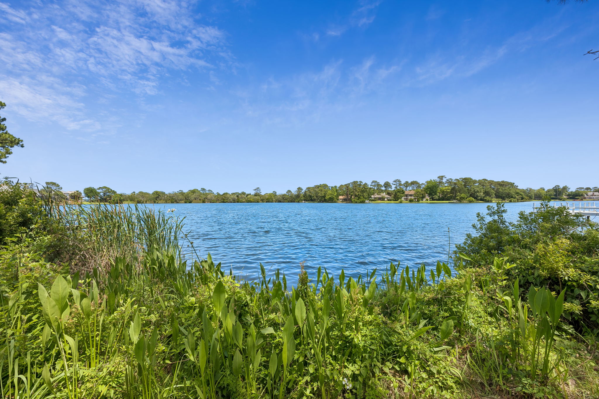 Lake View