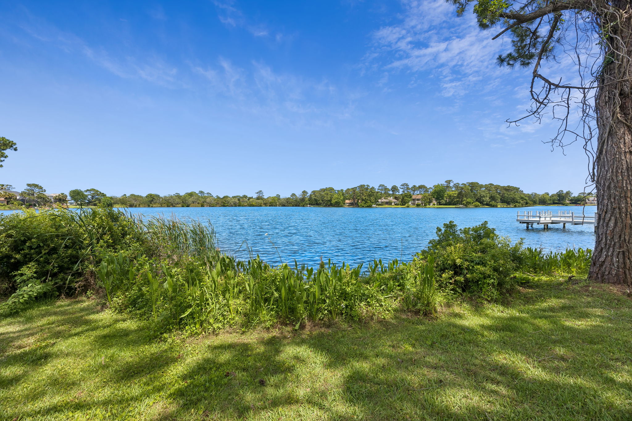 Lake View