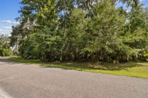 95164 Shell Midden Lane Street View