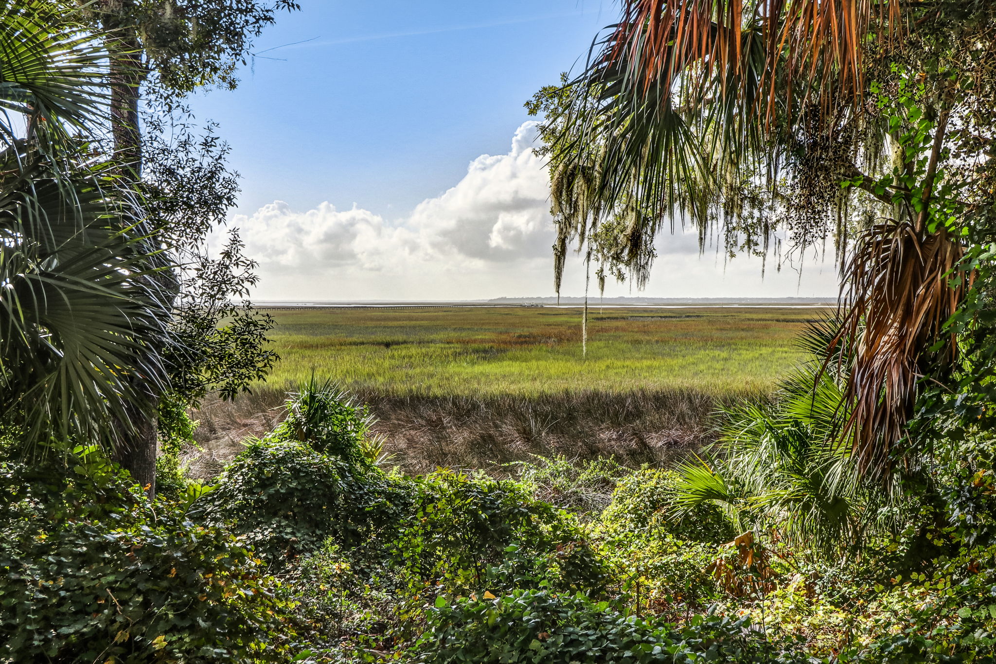 95178 Spring Tide Ln, Fernandina Beach, FL 32034 ECVT