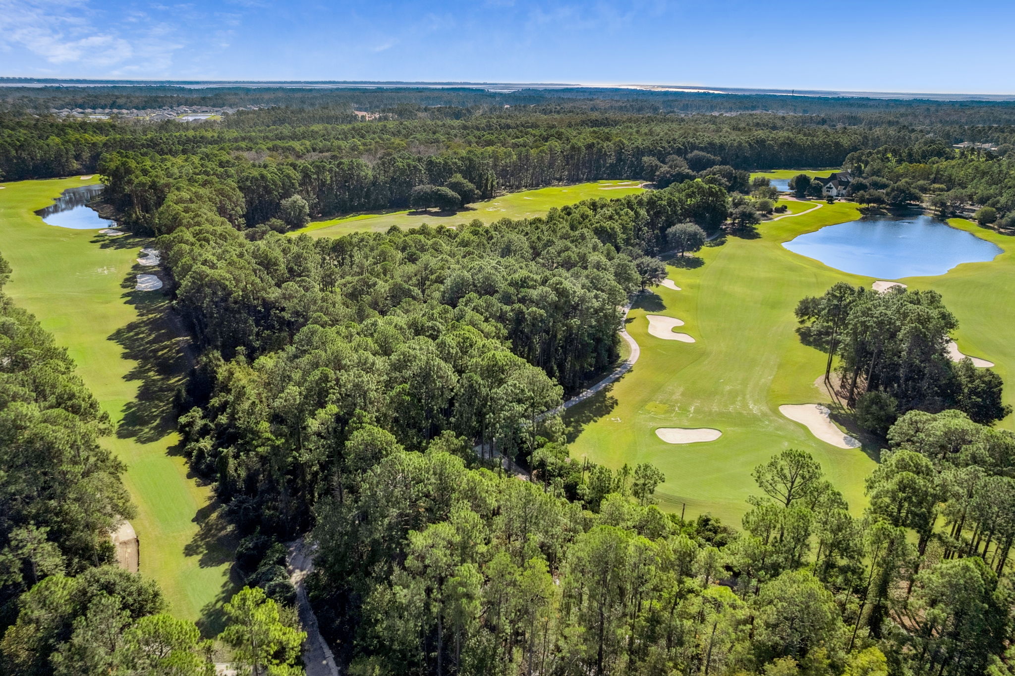 Amelia National