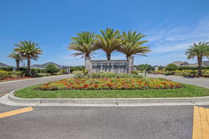 Sandy Pointe Preserve