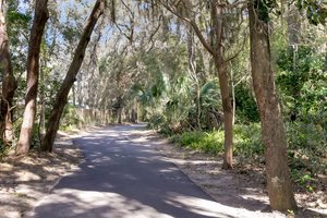 Beach Access