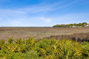 Marsh View