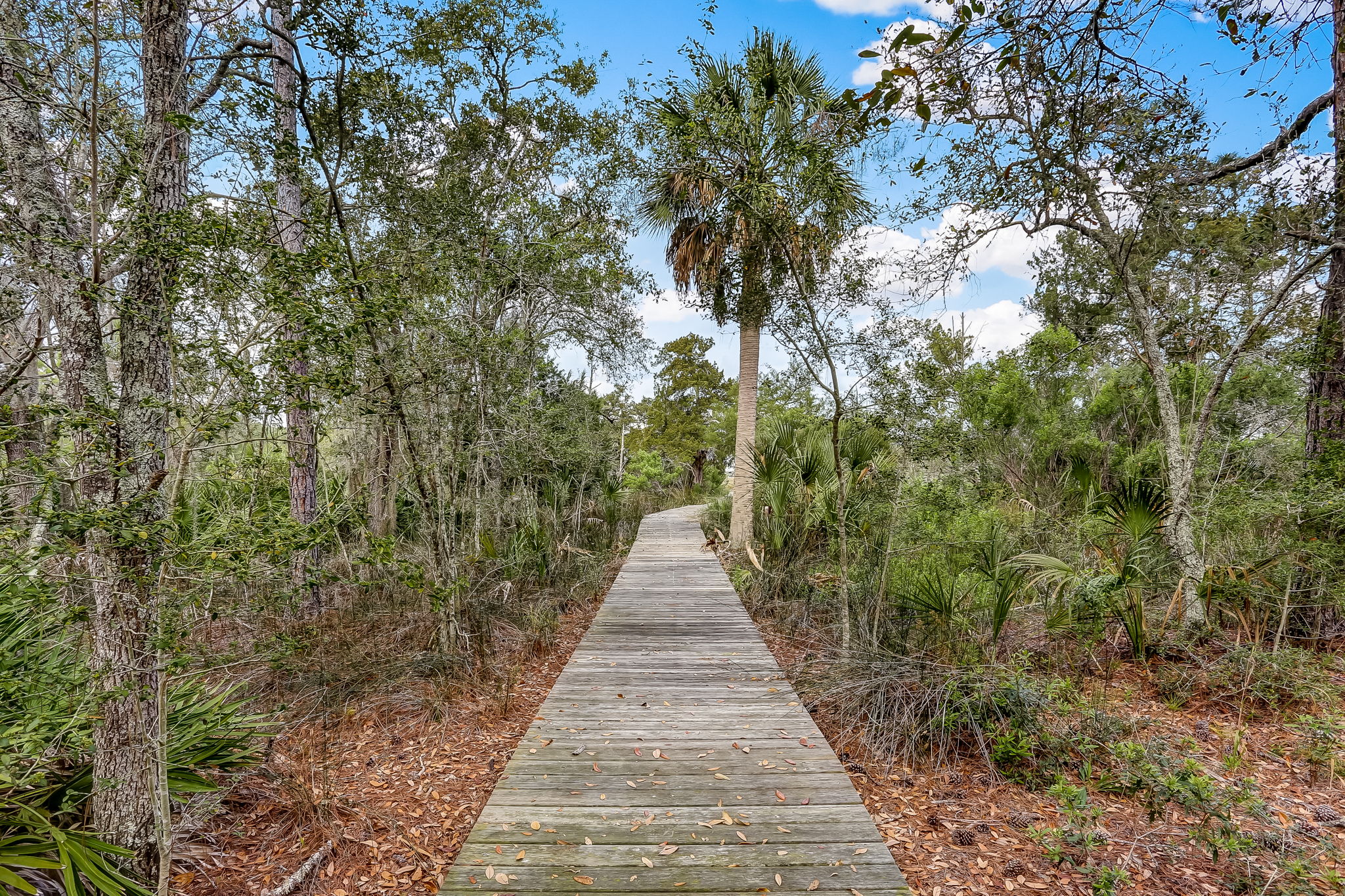 Brady Point Preserve