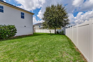 Side Yard
