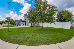 Side Yard