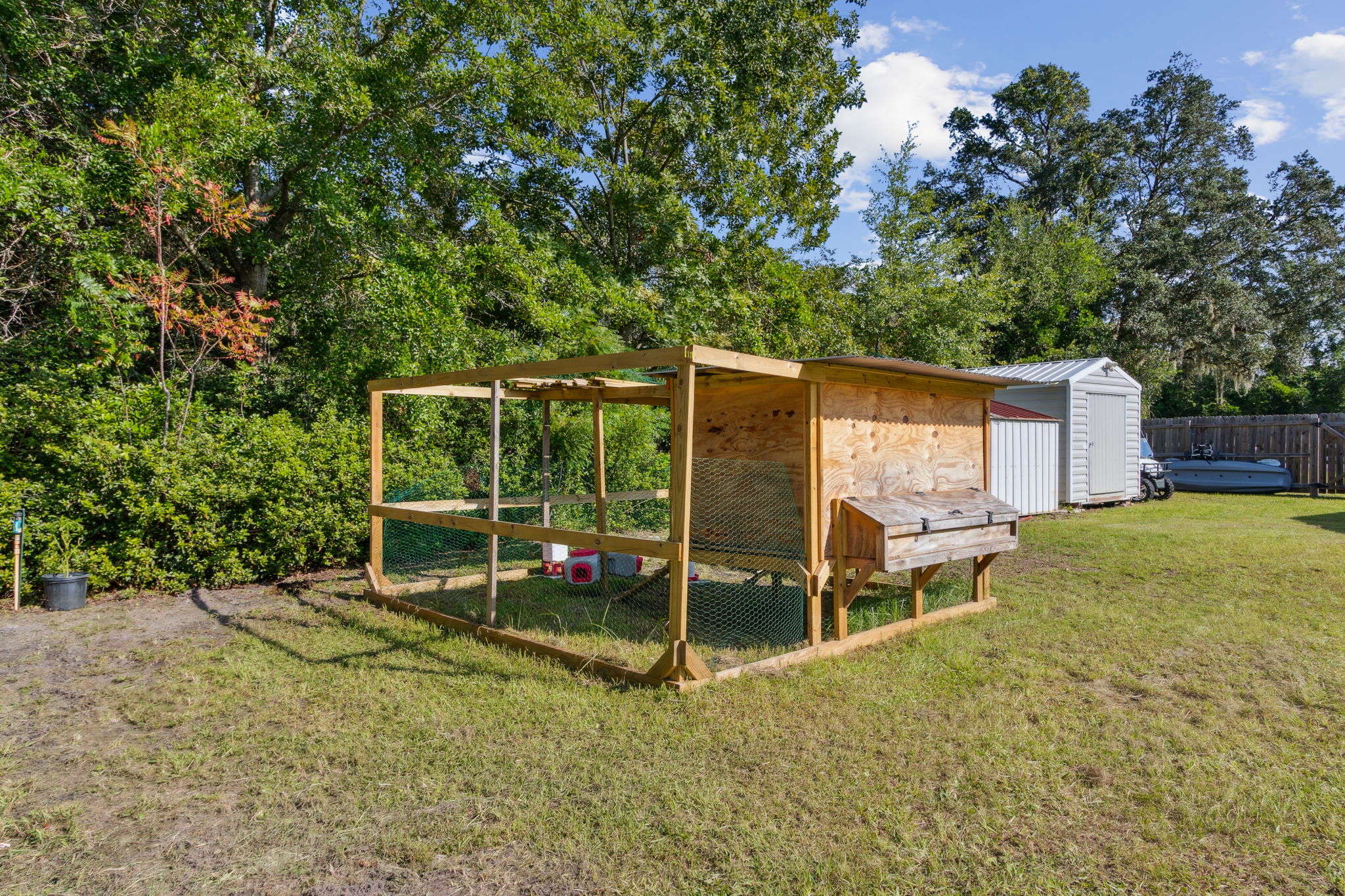 Backyard