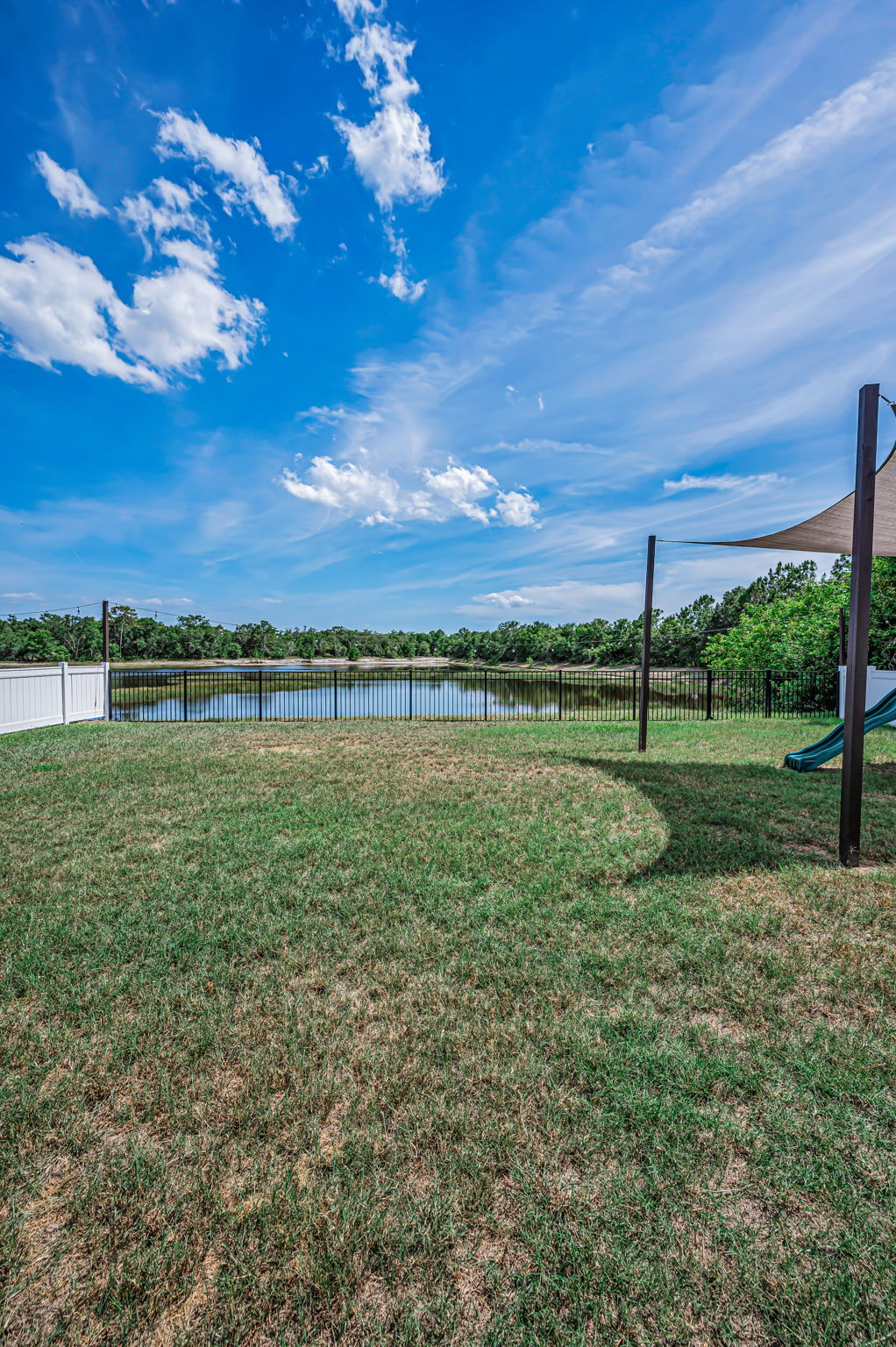 Backyard2