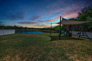 Backyard3