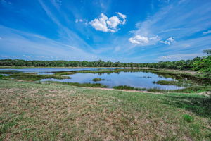 Backyard View1