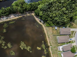 Aerial (11)