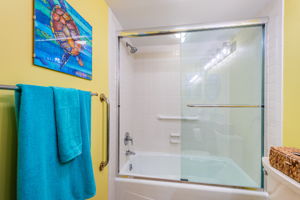 Primary Bathroom 1c