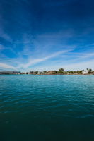 Backyard3 Water View