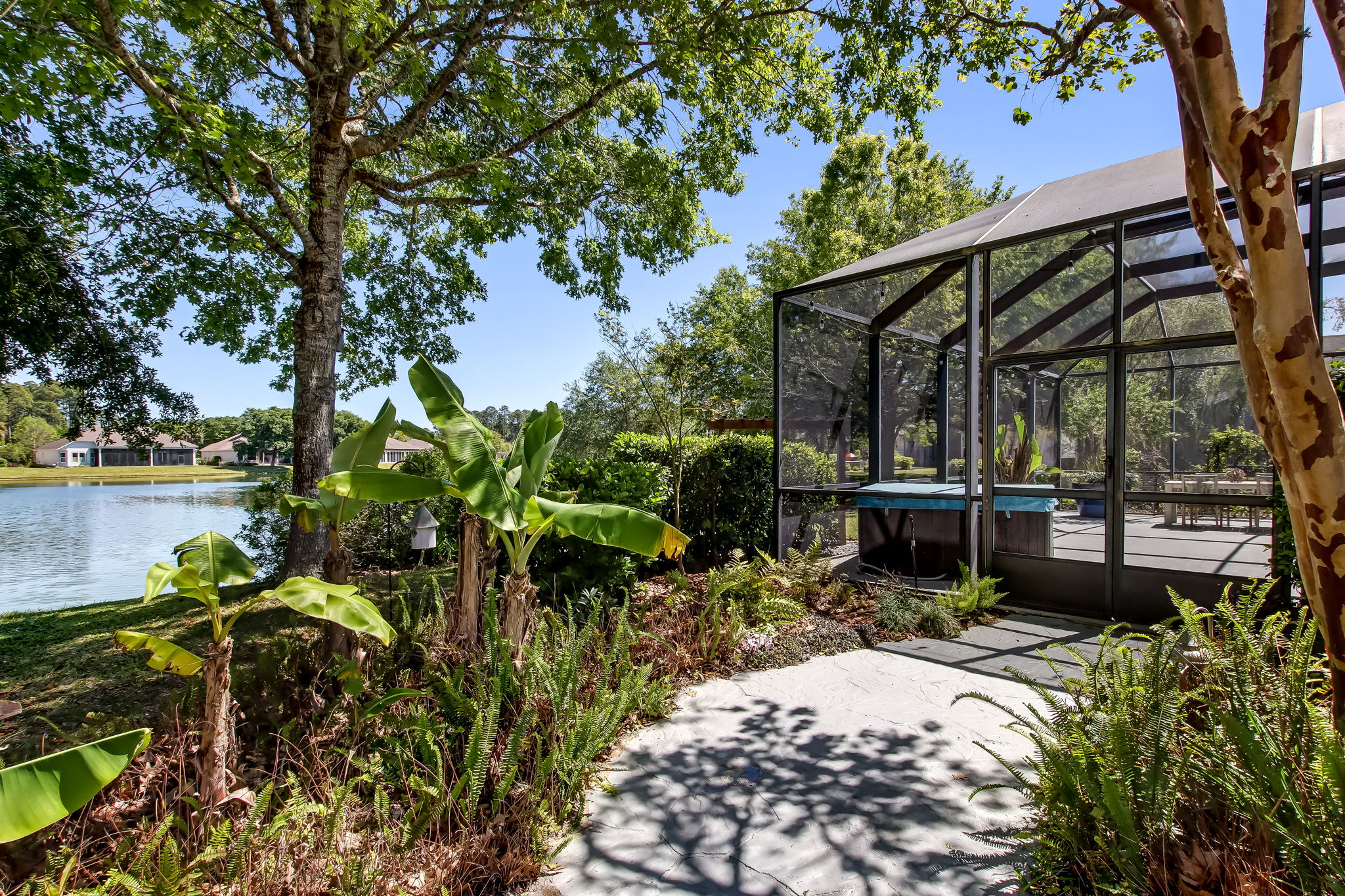 Back Yard