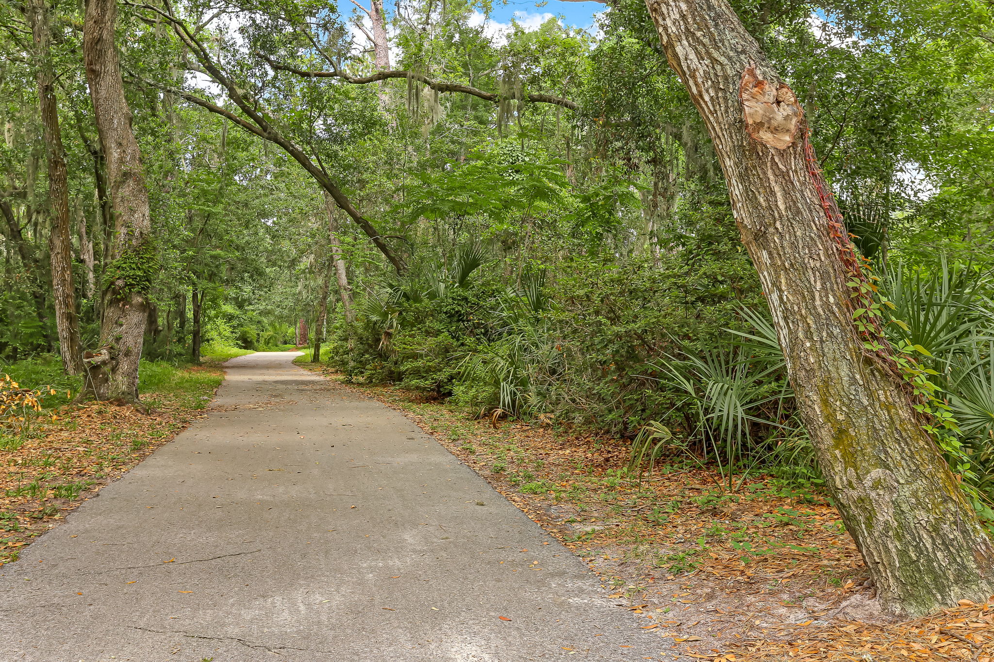 Bike & Walking Trail