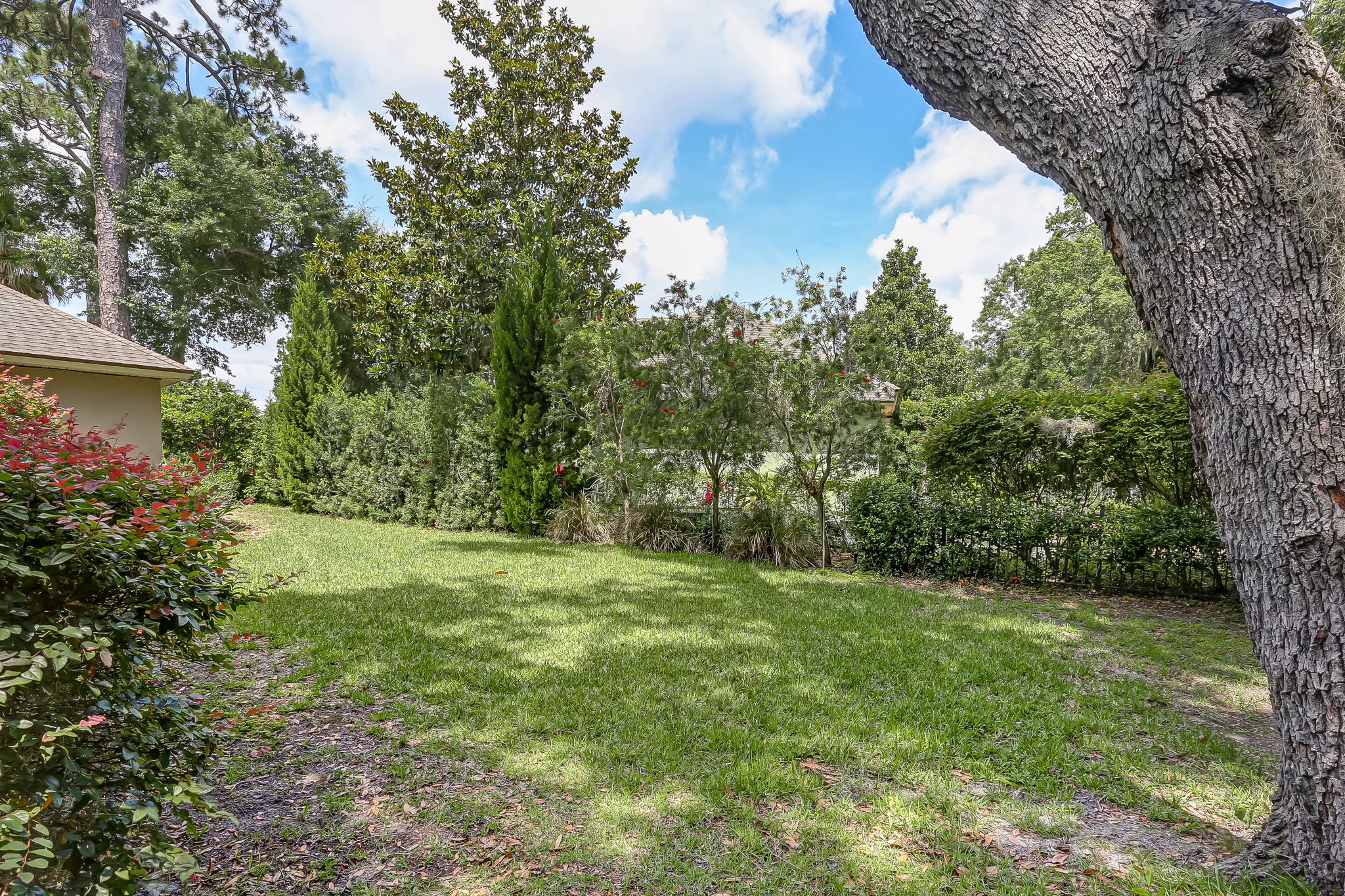 Side Yard