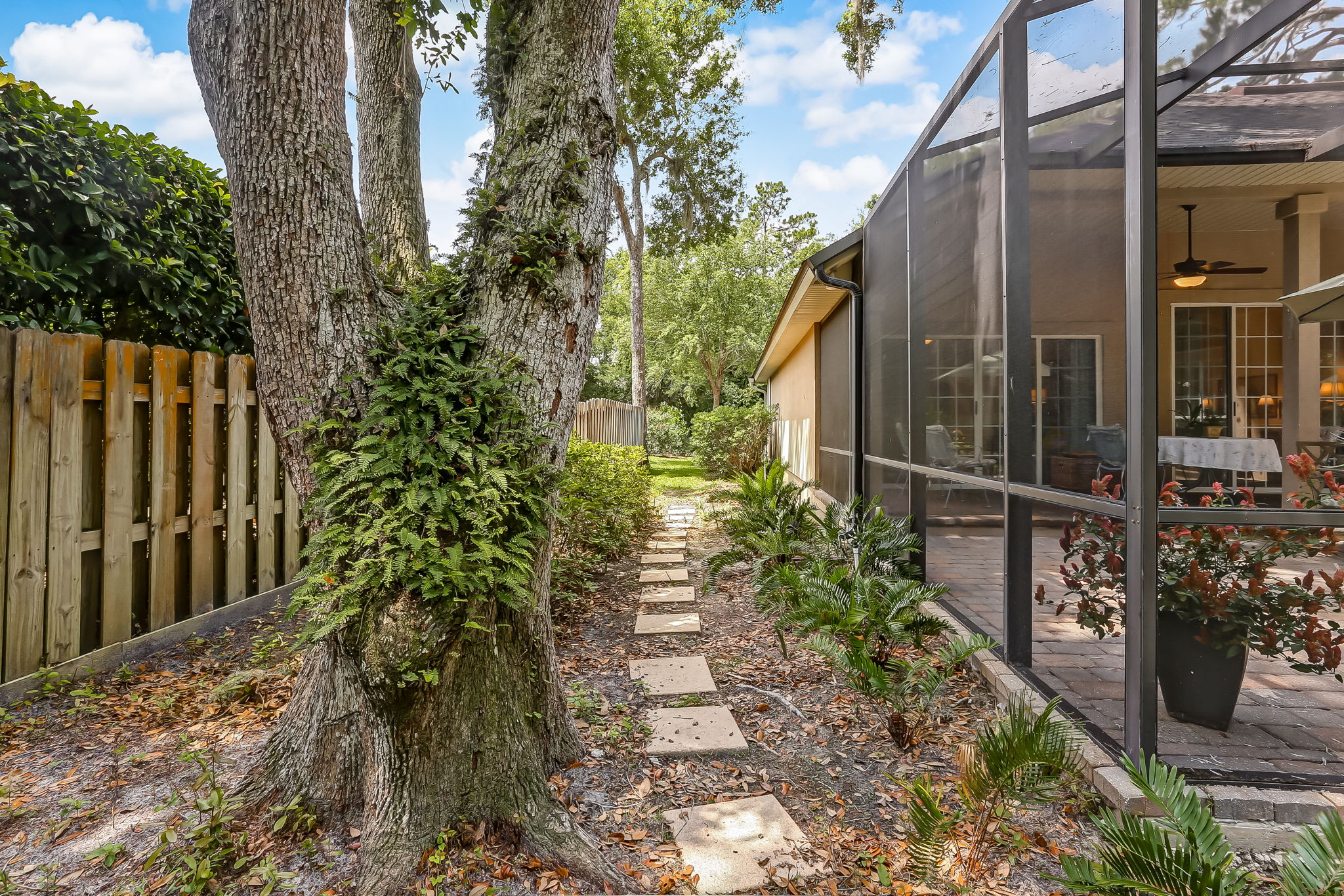 Back Yard