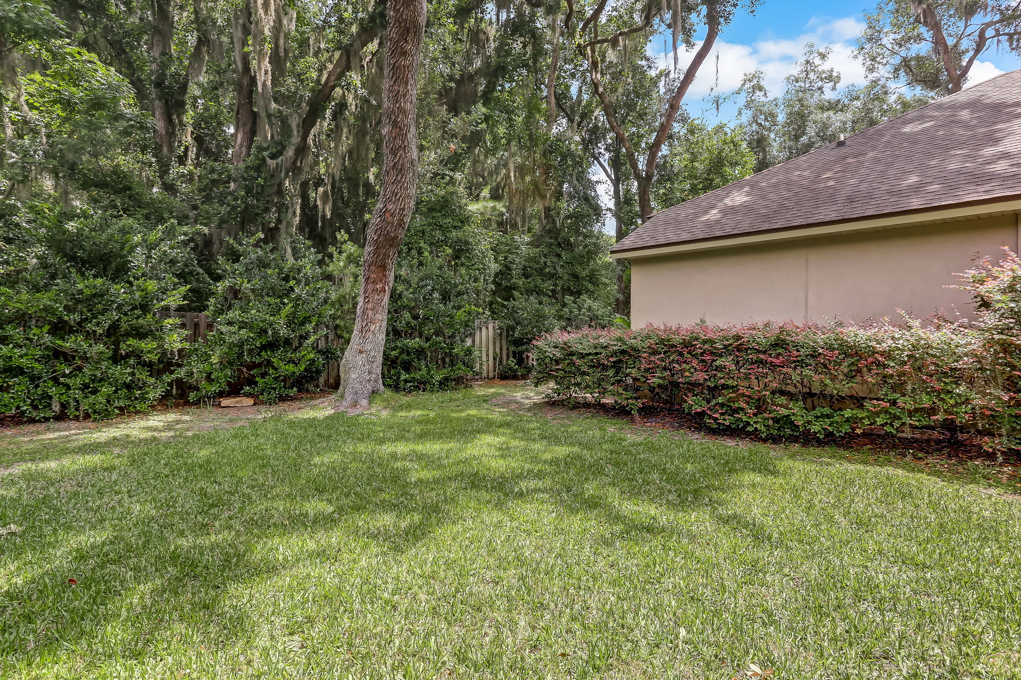 Side Yard