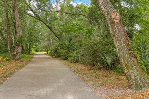 Bike & Walking Trail