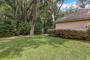 Side Yard
