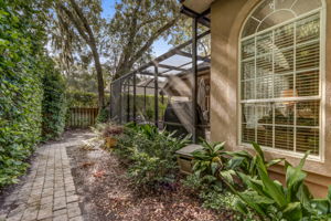 Side Yard