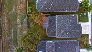  Photo 58