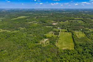  Photo 95