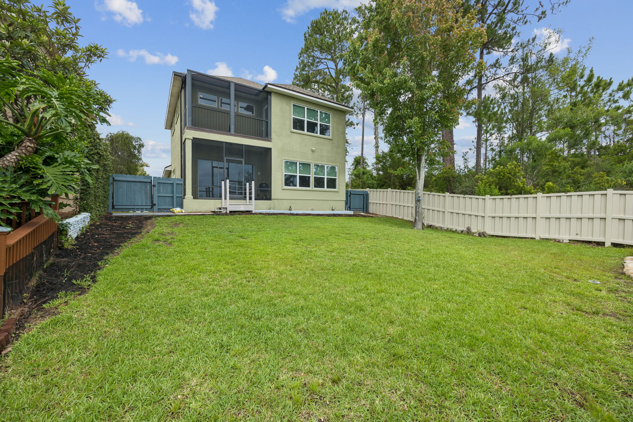 Backyard