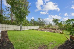BackyardBackyard