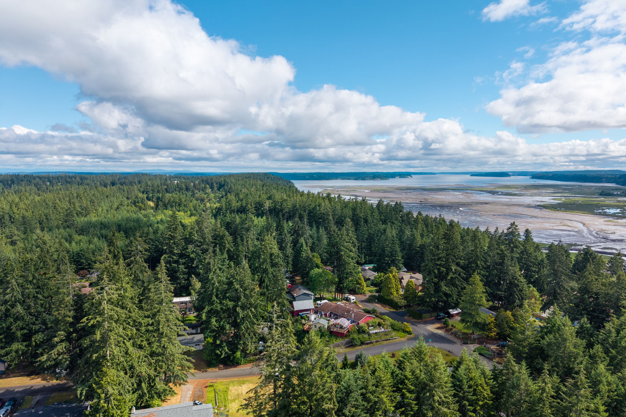 9538HelenAveNE,Olympia,WA98516-31