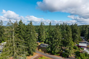 9538HelenAveNE,Olympia,WA98516-28
