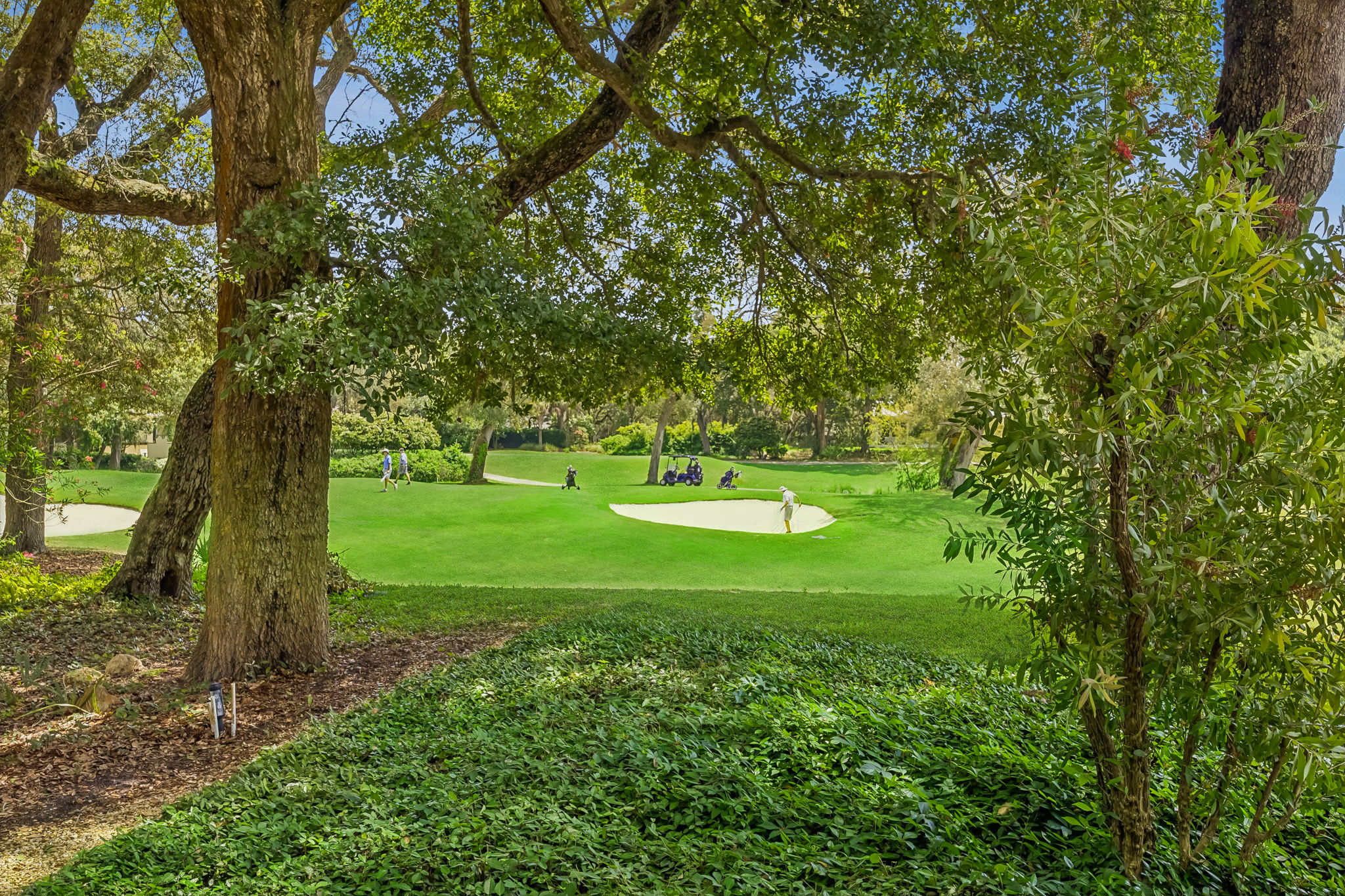 …or simply enjoy the quiet rhythm of golfers passing beneath the oaks.