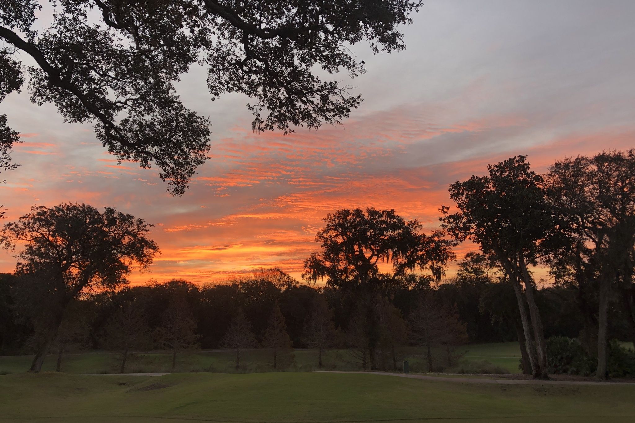…turning the backyard into a daily front-row seat for Amelia Island’s natural beauty.